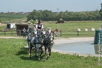 031 D501-ATTELAGE LOUVRES - MARATHON - 28052017-ATE 2225 : 2017, 28 mAI 2017, Concours ATTELAGE 2017, D501, MARATHON, Obstacle 3