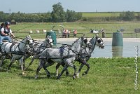 032 D501-ATTELAGE LOUVRES - MARATHON - 28052017-ATE 2226 : 2017, 28 mAI 2017, Concours ATTELAGE 2017, D501, MARATHON, Obstacle 3