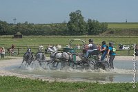 037 D501-ATTELAGE LOUVRES - MARATHON - 28052017-ATE 2231 : 2017, 28 mAI 2017, Concours ATTELAGE 2017, D501, MARATHON, Obstacle 3