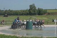 038 D501-ATTELAGE LOUVRES - MARATHON - 28052017-ATE 2232 : 2017, 28 mAI 2017, Concours ATTELAGE 2017, D501, MARATHON, Obstacle 3