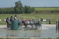 039 D501-ATTELAGE LOUVRES - MARATHON - 28052017-ATE 2233 : 2017, 28 mAI 2017, Concours ATTELAGE 2017, D501, MARATHON, Obstacle 3