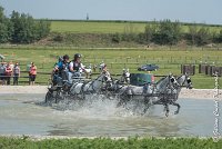 041 D501-ATTELAGE LOUVRES - MARATHON - 28052017-ATE 2235 : 2017, 28 mAI 2017, Concours ATTELAGE 2017, D501, MARATHON, Obstacle 3