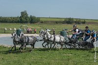 045 D501-ATTELAGE LOUVRES - MARATHON - 28052017-ATE 2239 : 2017, 28 mAI 2017, Concours ATTELAGE 2017, D501, MARATHON, Obstacle 3