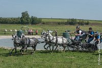 045 D501-ATTELAGE LOUVRES - MARATHON - 28052017-ATE 2239 : 2017, 28 mAI 2017, Concours ATTELAGE 2017, D501, MARATHON, Obstacle 3