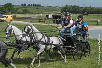 047 D501-ATTELAGE LOUVRES - MARATHON - 28052017-ATE 2241 : 2017, 28 mAI 2017, Concours ATTELAGE 2017, D501, MARATHON, Obstacle 3