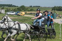 048 D501-ATTELAGE LOUVRES - MARATHON - 28052017-ATE 2242 : 2017, 28 mAI 2017, Concours ATTELAGE 2017, D501, MARATHON, Obstacle 3