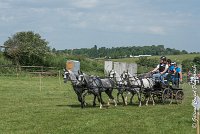 050 D501-ATTELAGE LOUVRES - MARATHON - 28052017-ATE 2245 : 2017, 28 mAI 2017, Concours ATTELAGE 2017, D501, MARATHON, Obstacle 4