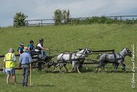 053 D501-ATTELAGE LOUVRES - MARATHON - 28052017-ATE 2248 : 2017, 28 mAI 2017, Concours ATTELAGE 2017, D501, MARATHON, Obstacle 4