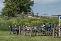 056 D501-ATTELAGE LOUVRES - MARATHON - 28052017-ATE 2254 : 2017, 28 mAI 2017, Concours ATTELAGE 2017, D501, MARATHON, Obstacle 4