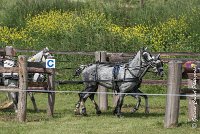 058 D501-ATTELAGE LOUVRES - MARATHON - 28052017-ATE 2256 : 2017, 28 mAI 2017, Concours ATTELAGE 2017, D501, MARATHON, Obstacle 4