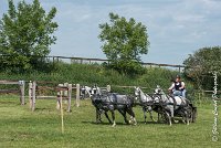 062 D501-ATTELAGE LOUVRES - MARATHON - 28052017-ATE 2260 : 2017, 28 mAI 2017, Concours ATTELAGE 2017, D501, MARATHON, Obstacle 4