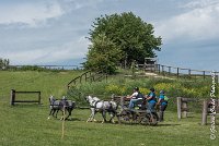 065 D501-ATTELAGE LOUVRES - MARATHON - 28052017-ATE 2264 : 2017, 28 mAI 2017, Concours ATTELAGE 2017, D501, MARATHON, Obstacle 4