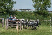 067 D501-ATTELAGE LOUVRES - MARATHON - 28052017-ATE 2266 : 2017, 28 mAI 2017, Concours ATTELAGE 2017, D501, MARATHON, Obstacle 4