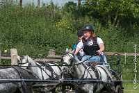 068 D501-ATTELAGE LOUVRES - MARATHON - 28052017-ATE 2267 : 2017, 28 mAI 2017, Concours ATTELAGE 2017, D501, MARATHON, Obstacle 4