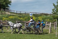 070 D501-ATTELAGE LOUVRES - MARATHON - 28052017-ATE 2269 : 2017, 28 mAI 2017, Concours ATTELAGE 2017, D501, MARATHON, Obstacle 4