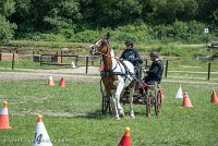 022 P01-MANIABILITE- ATTELAGE - 27052017-ATE 0989 : 2017, 27 Mai 2017, Concours ATTELAGE 2017, Maniabilité, P01
