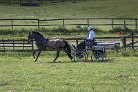 001 P02-DRESSAGE - ATTELAGE - 27052017-GAL 0582 : 2017, 27 Mai 2017, Concours ATTELAGE 2017, DR02, Dressage