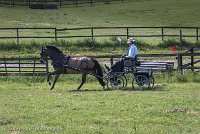 001 P02-DRESSAGE - ATTELAGE - 27052017-GAL 0582 : 2017, 27 Mai 2017, Concours ATTELAGE 2017, DR02, Dressage