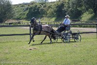 003 P02-DRESSAGE - ATTELAGE - 27052017-GAL 0584 : 2017, 27 Mai 2017, Concours ATTELAGE 2017, DR02, Dressage