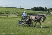 004 P02-DRESSAGE - ATTELAGE - 27052017-GAL 0591 : 2017, 27 Mai 2017, Concours ATTELAGE 2017, DR02, Dressage