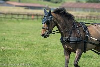 006 P02-DRESSAGE - ATTELAGE - 27052017-GAL 0596 : 2017, 27 Mai 2017, Concours ATTELAGE 2017, DR02, Dressage