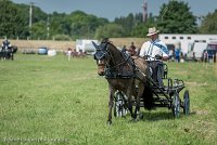 007 P02-DRESSAGE - ATTELAGE - 27052017-GAL 0597 : 2017, 27 Mai 2017, Concours ATTELAGE 2017, DR02, Dressage