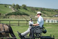 008 P02-DRESSAGE - ATTELAGE - 27052017-GAL 0598 : 2017, 27 Mai 2017, Concours ATTELAGE 2017, DR02, Dressage