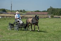 009 P02-DRESSAGE - ATTELAGE - 27052017-GAL 0626 : 2017, 27 Mai 2017, Concours ATTELAGE 2017, DR02, Dressage