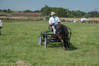 010 P02-DRESSAGE - ATTELAGE - 27052017-GAL 0627 : 2017, 27 Mai 2017, Concours ATTELAGE 2017, DR02, Dressage