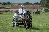 011 P02-DRESSAGE - ATTELAGE - 27052017-GAL 0630 : 2017, 27 Mai 2017, Concours ATTELAGE 2017, DR02, Dressage