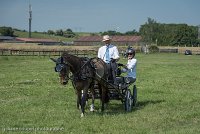 012 P02-DRESSAGE - ATTELAGE - 27052017-GAL 0631 : 2017, 27 Mai 2017, Concours ATTELAGE 2017, DR02, Dressage