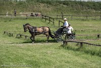 013 P02-DRESSAGE - ATTELAGE - 27052017-GAL 0633 : 2017, 27 Mai 2017, Concours ATTELAGE 2017, DR02, Dressage