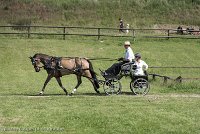 014 P02-DRESSAGE - ATTELAGE - 27052017-GAL 0634 : 2017, 27 Mai 2017, Concours ATTELAGE 2017, DR02, Dressage