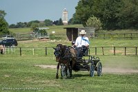 015 P02-DRESSAGE - ATTELAGE - 27052017-GAL 0635 : 2017, 27 Mai 2017, Concours ATTELAGE 2017, DR02, Dressage