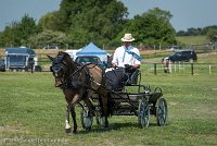 016 P02-DRESSAGE - ATTELAGE - 27052017-GAL 0636 : 2017, 27 Mai 2017, Concours ATTELAGE 2017, DR02, Dressage