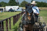 017 P02-DRESSAGE - ATTELAGE - 27052017-GAL 0637 : 2017, 27 Mai 2017, Concours ATTELAGE 2017, DR02, Dressage