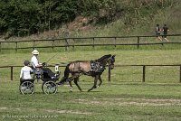 019 P02-DRESSAGE - ATTELAGE - 27052017-GAL 0639 : 2017, 27 Mai 2017, Concours ATTELAGE 2017, DR02, Dressage