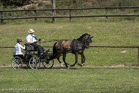 020 P02-DRESSAGE - ATTELAGE - 27052017-GAL 0640 : 2017, 27 Mai 2017, Concours ATTELAGE 2017, DR02, Dressage