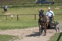 021 P02-DRESSAGE - ATTELAGE - 27052017-GAL 0641 : 2017, 27 Mai 2017, Concours ATTELAGE 2017, DR02, Dressage