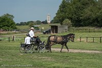 023 P02-DRESSAGE - ATTELAGE - 27052017-GAL 0643 : 2017, 27 Mai 2017, Concours ATTELAGE 2017, DR02, Dressage