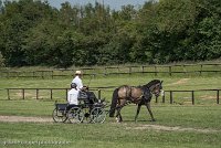 024 P02-DRESSAGE - ATTELAGE - 27052017-GAL 0644 : 2017, 27 Mai 2017, Concours ATTELAGE 2017, DR02, Dressage