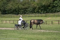 025 P02-DRESSAGE - ATTELAGE - 27052017-GAL 0645 : 2017, 27 Mai 2017, Concours ATTELAGE 2017, DR02, Dressage