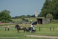 026 P02-DRESSAGE - ATTELAGE - 27052017-GAL 0646 : 2017, 27 Mai 2017, Concours ATTELAGE 2017, DR02, Dressage