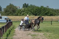 027 P02-DRESSAGE - ATTELAGE - 27052017-GAL 0647 : 2017, 27 Mai 2017, Concours ATTELAGE 2017, DR02, Dressage