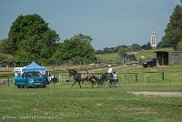 028 P02-DRESSAGE - ATTELAGE - 27052017-GAL 0648 : 2017, 27 Mai 2017, Concours ATTELAGE 2017, DR02, Dressage