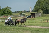 029 P02-DRESSAGE - ATTELAGE - 27052017-GAL 0649 : 2017, 27 Mai 2017, Concours ATTELAGE 2017, DR02, Dressage