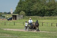 030 P02-DRESSAGE - ATTELAGE - 27052017-GAL 0650 : 2017, 27 Mai 2017, Concours ATTELAGE 2017, DR02, Dressage