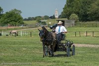 031 P02-DRESSAGE - ATTELAGE - 27052017-GAL 0651 : 2017, 27 Mai 2017, Concours ATTELAGE 2017, DR02, Dressage