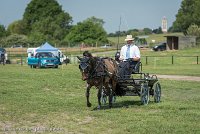 032 P02-DRESSAGE - ATTELAGE - 27052017-GAL 0652 : 2017, 27 Mai 2017, Concours ATTELAGE 2017, DR02, Dressage