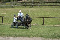 034 P02-DRESSAGE - ATTELAGE - 27052017-GAL 0654 : 2017, 27 Mai 2017, Concours ATTELAGE 2017, DR02, Dressage